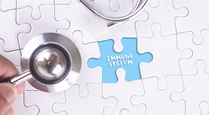 Image of DocChat-ImmuneSystem